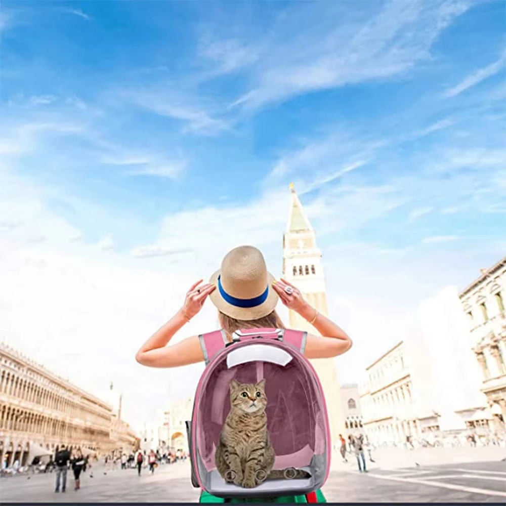 Cat Pet Carrier Backpack - Transparent Capsule Bubble Design, Breathable for Small Animals (Puppy/Kitty/Bird), Ideal for Travel